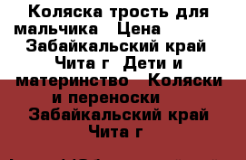 Коляска-трость для мальчика › Цена ­ 1 000 - Забайкальский край, Чита г. Дети и материнство » Коляски и переноски   . Забайкальский край,Чита г.